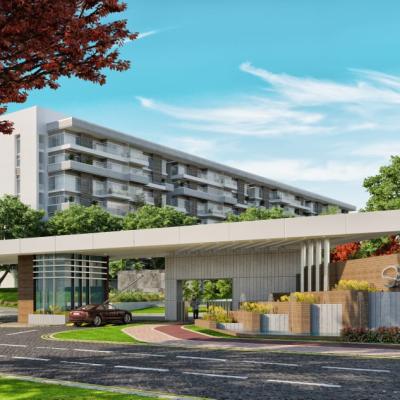 scenario new capital